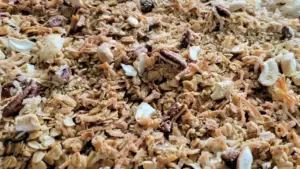 A Deep Dive into the World of Granola